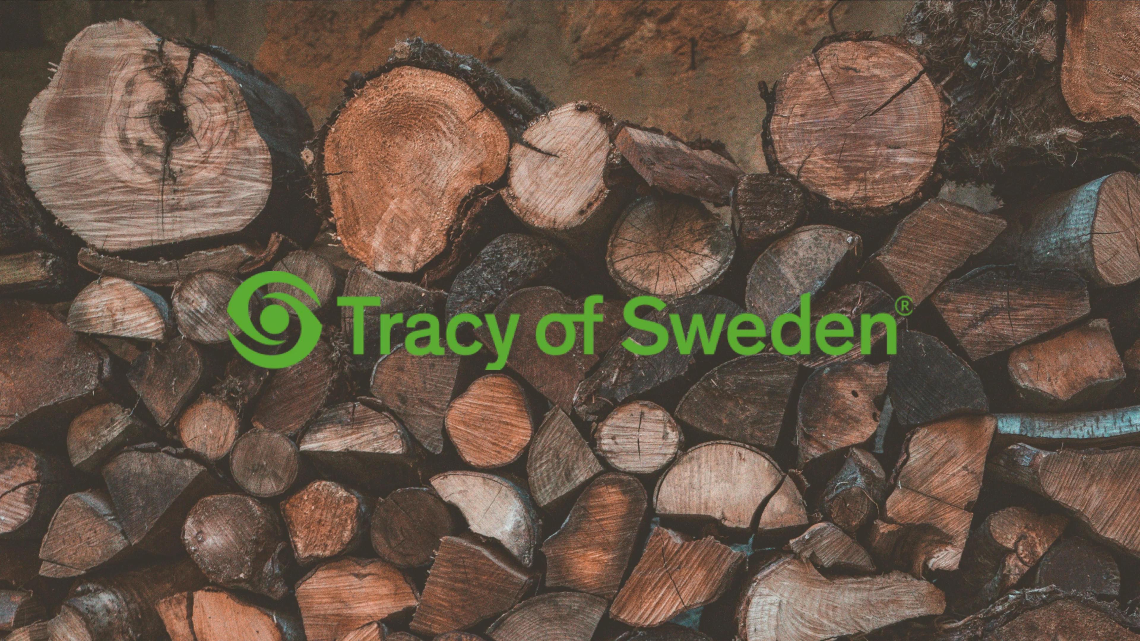 Tracy Of Sweden case study